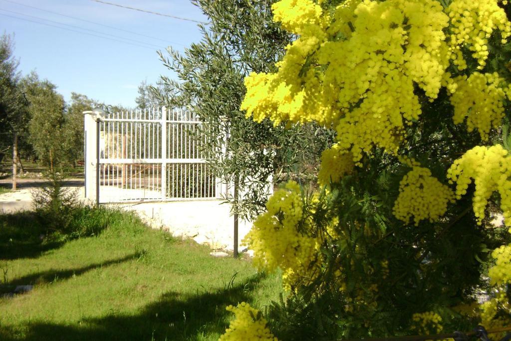 B&B Villa Méditerranée Trani Exterior foto